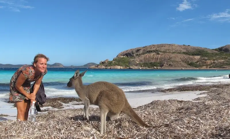 Work and Travel Reisende am Strand mit einem Känguru