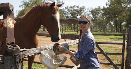 Read more about the article In Australien mit Pferden arbeiten