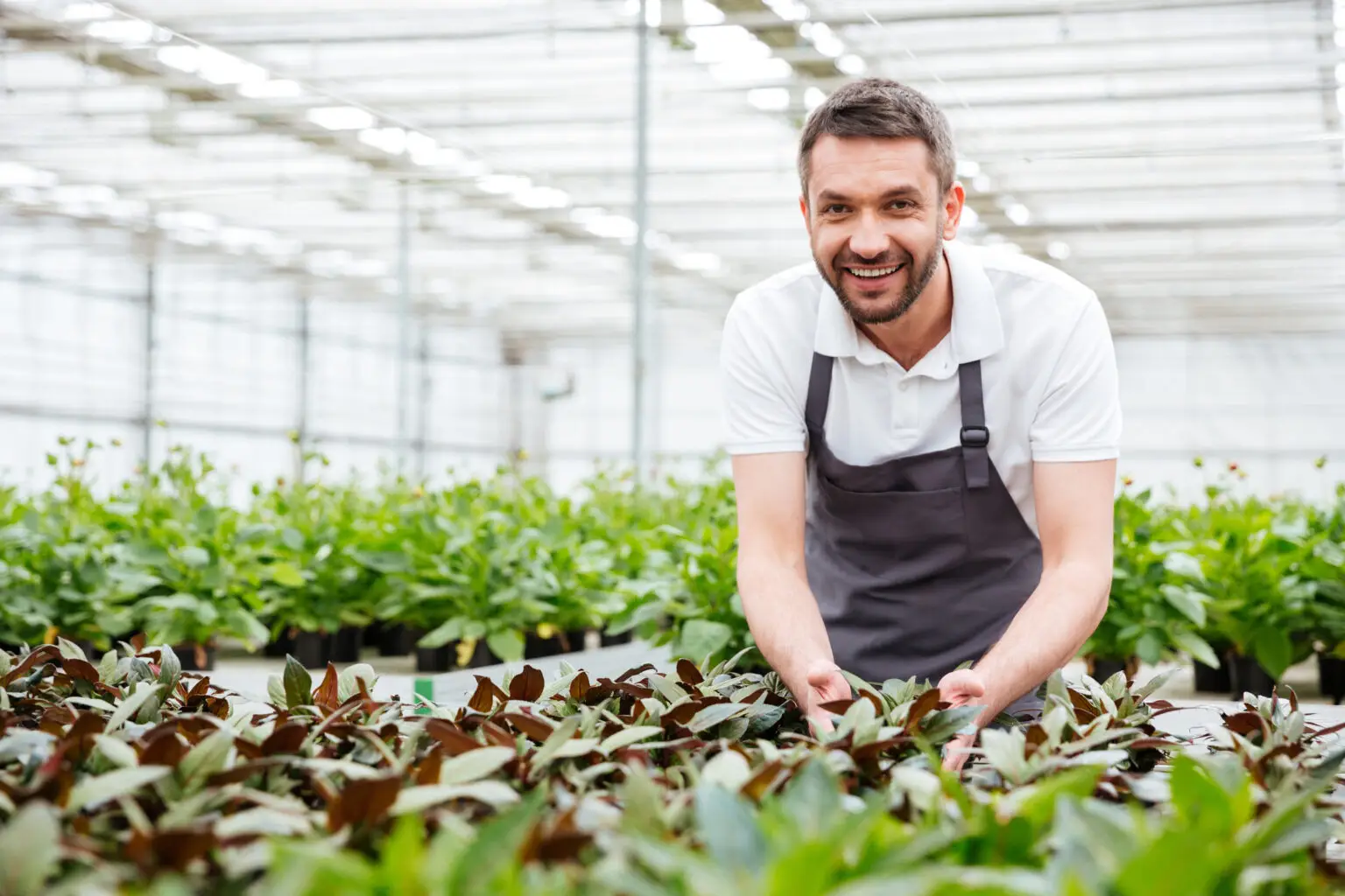 Happy,Smiling,Male,Gardener,Working,In,A,Greenhouse