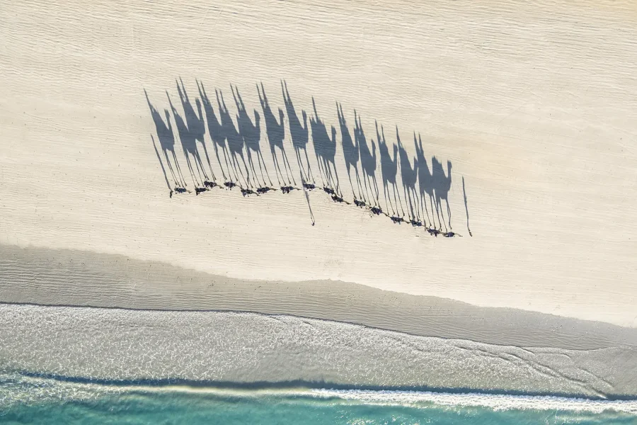 Cable Beach is a 22 km stretch of white sand beach on the eastern Indian Ocean and the name of the surrounding suburb in Broome, Western Australia.