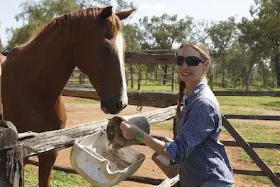 Myella Farm Stay, Baralaba, QLD