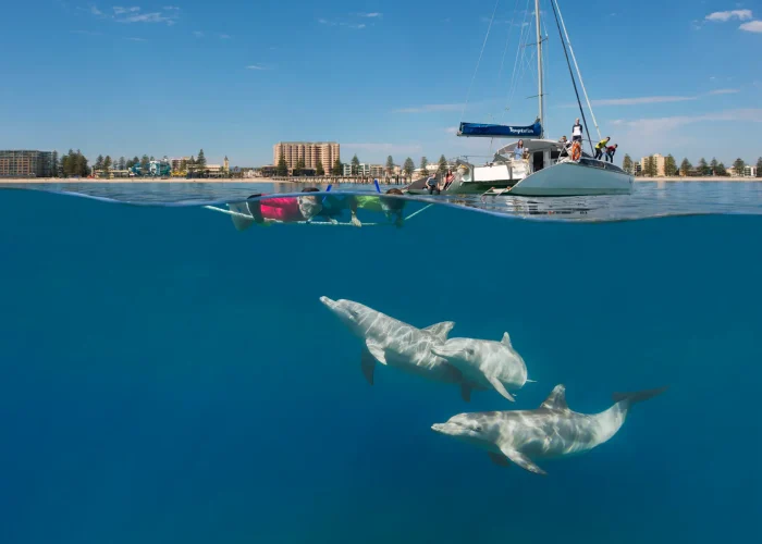 U 646167 South Australian Tourism Commission - Temptation Sailing